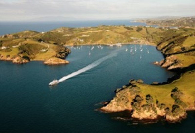 Gallery Image Auckland ferry